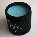 11.2 Oz Vanilla Rain Premium Scented Candle - Coconut-Apricot Wax